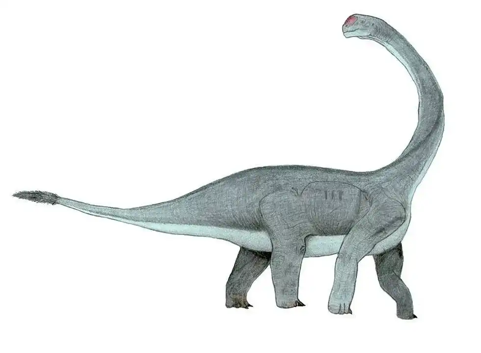 Discover amazing Abrosaurus facts!
