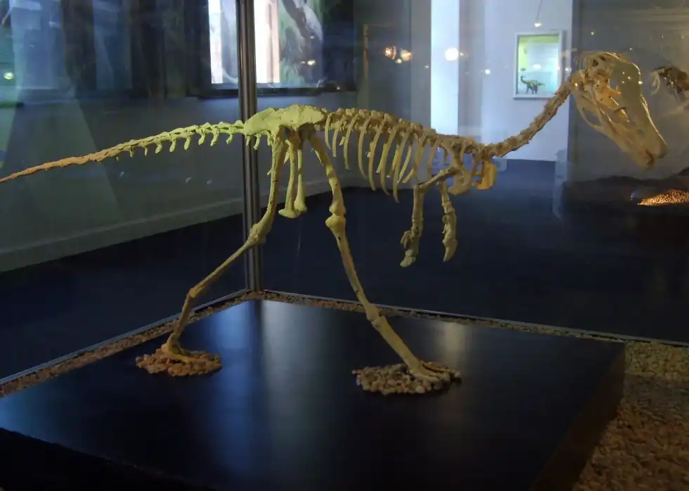 Discover amazing Albertonykus facts in this article.