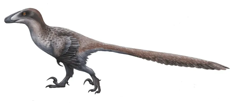 Discover amazing Deinonychus facts here in this article.