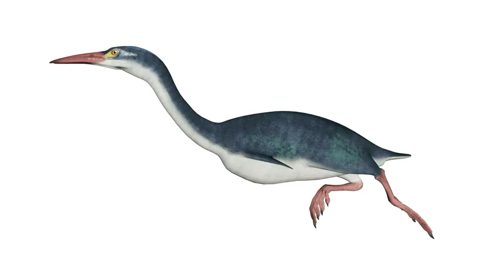 Discover amazing Hesperornis facts from our article to learn about this prehistoric creature.