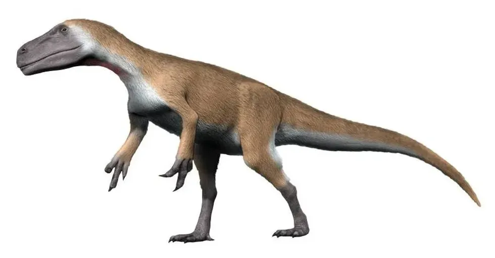 Discover amazing Murusraptor facts about the dinosaur that is described as the most unique Mega-raptor from Argentina.
