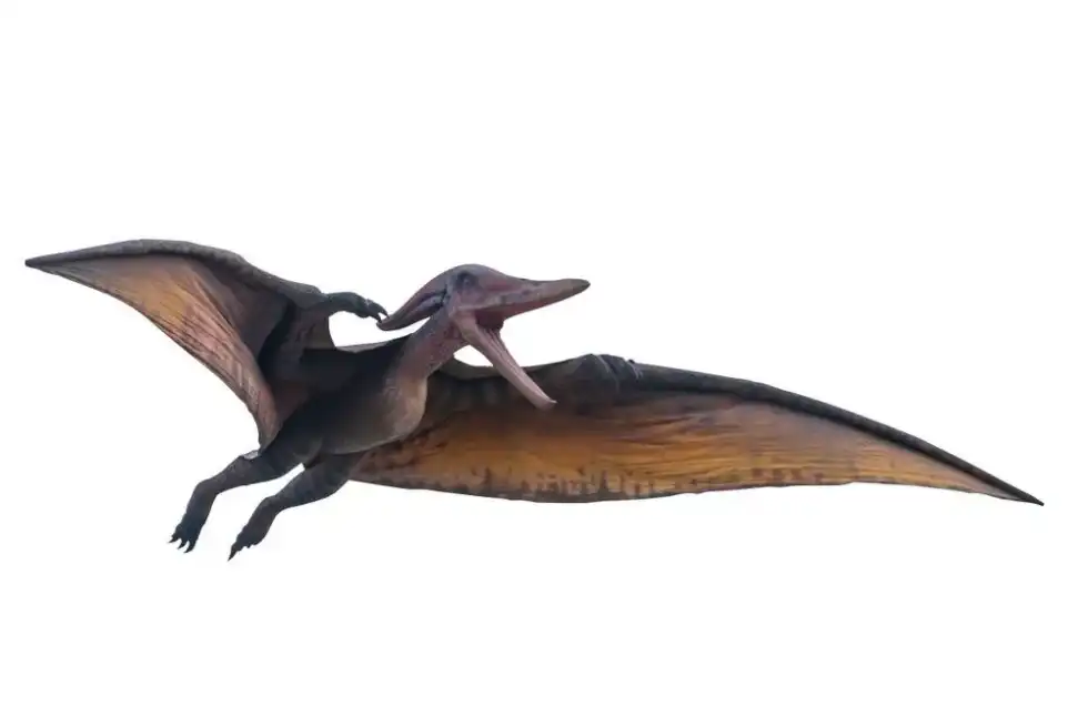 Discover awesome Kryptodrakon facts in this article.