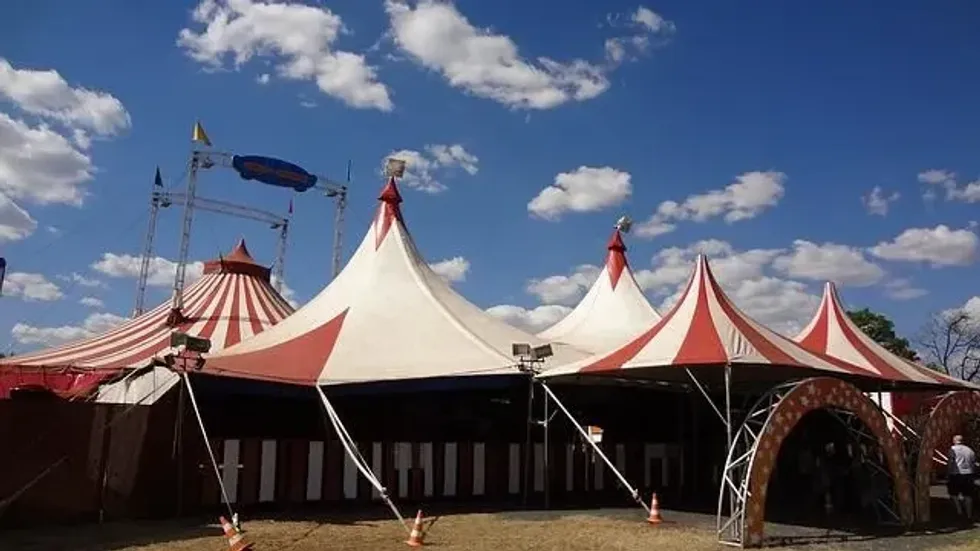 Discover circus facts you never knew.