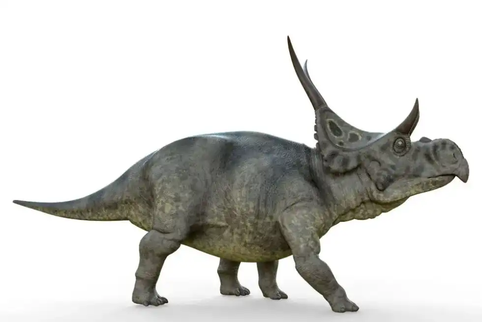 Discover Diabloceratops facts for kids!