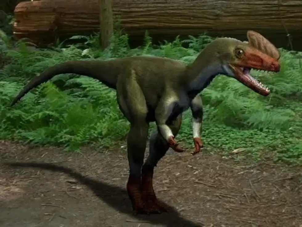 Discover enthralling Proceratosaurus facts that you will read over and over again.