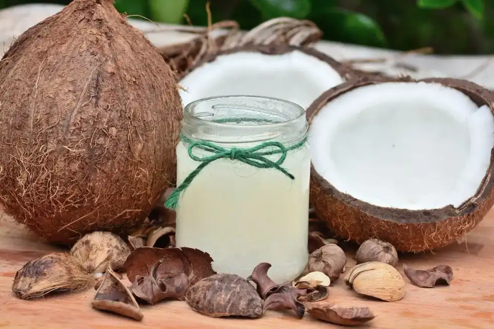 Discover facts about World Coconut Day here.