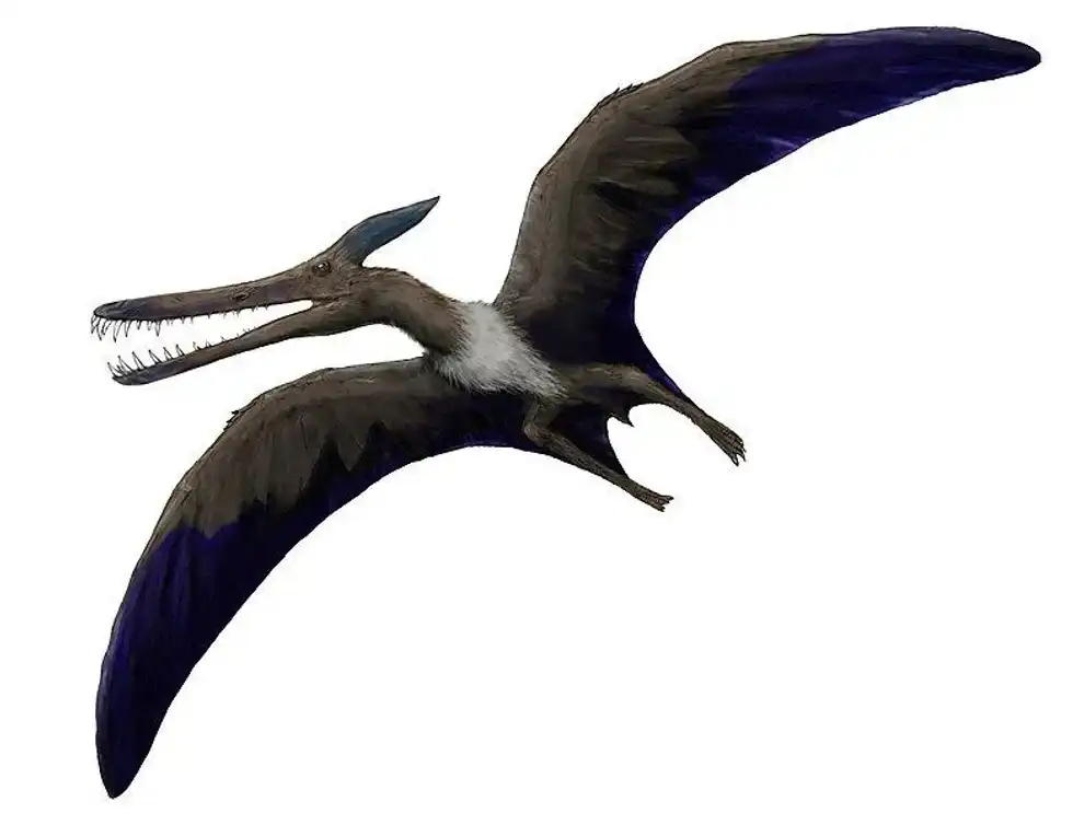 Discover fascinating Ludodactylus facts about its head crest, fossil remains, history, diet, and more!