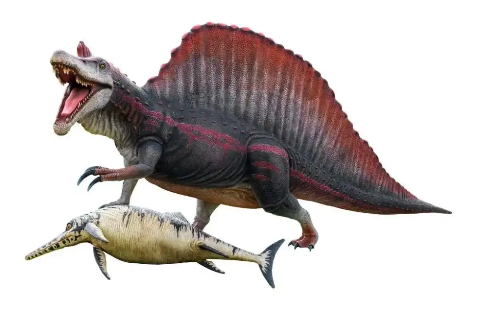 Discover fascinating Oxalaia facts that you never knew before!