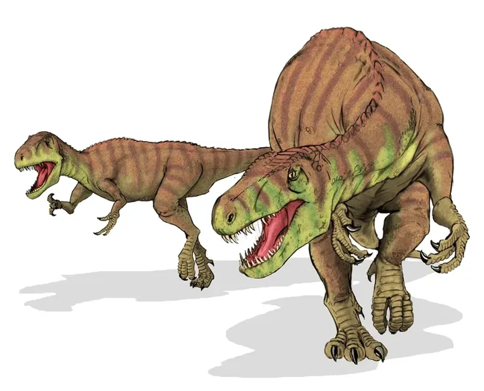 Discover fun Afrovenator facts about its physical appearance, diet, fossils, discovery, and more!