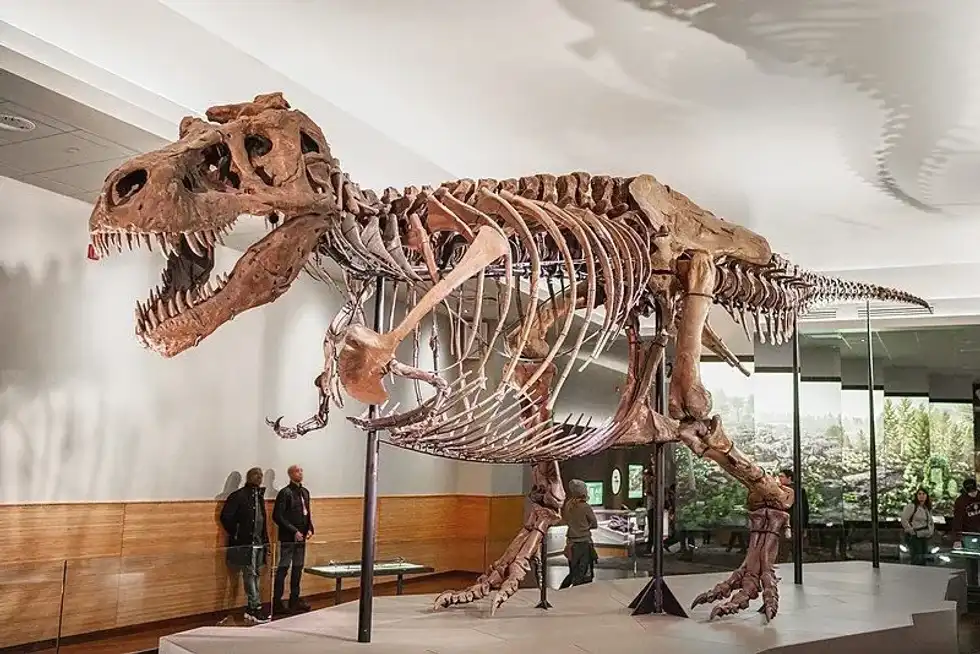 Discover fun Aublysodon facts about its remains, classification, skull, species, and more!