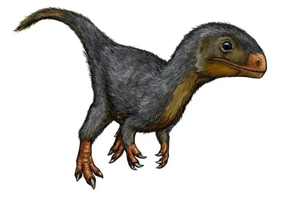 Discover fun Daemonosaurus facts about its fossil remains, teeth, natural history, time period, and more!