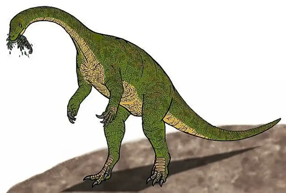 Discover fun Jingshanosaurus facts about its fossil remains, period, natural habitat, size, name, and more!