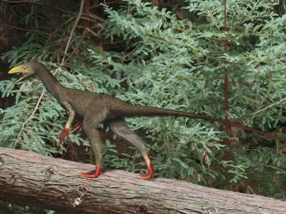 Discover fun Sinocalliopteryx facts about its fossil remains, teeth, tail, natural history, time period, and more!