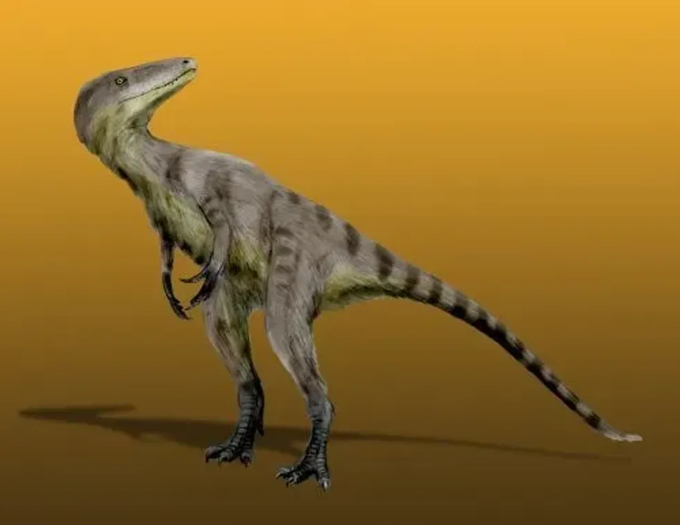 Discover fun Xiongguanlong facts about its range, fossil remains, appearance, diet, and more!