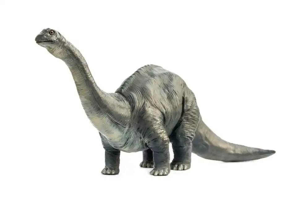 Discover interesting Brontosaurus facts.