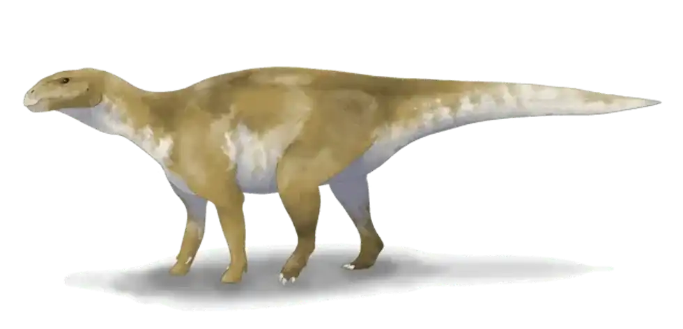 Discover interesting Eolambia facts including details about its fossil remains, skeleton, history, range, evolution, physical description, diet, importance in science, and paleontology.