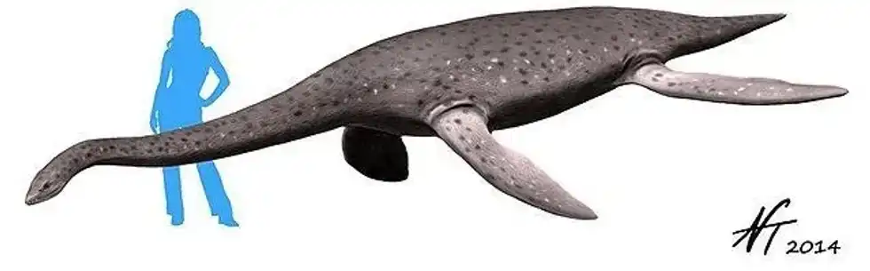 Discover interesting Eromangasaurus facts such as they had a long neck.