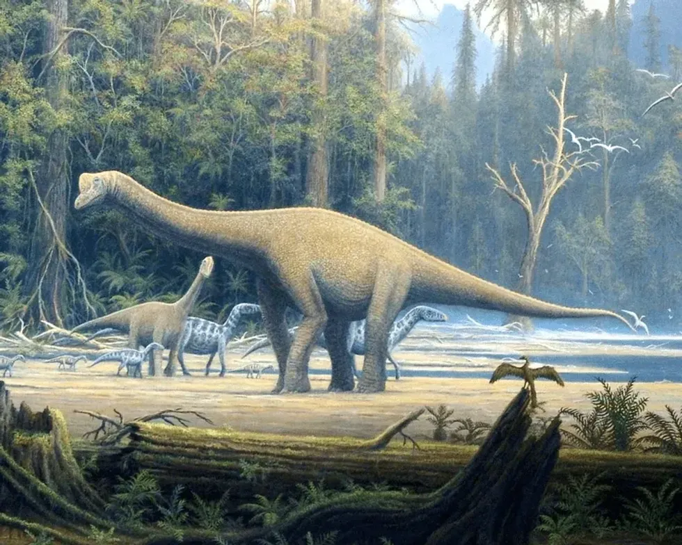 Discover interesting Europasaurus facts including details about its history, discovery, fossil remains, specimens, insular dwarfism, Europasaurus' length, long neck, feet, diet, closely related species, and Europasaurus' bones.