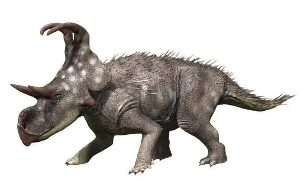 Discover interesting Machairoceratops facts including details about its history, fossil record, analysis of the material used in research, and its skull.