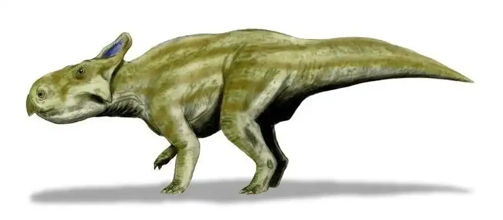 Discover interesting Montanoceratops facts for kids.