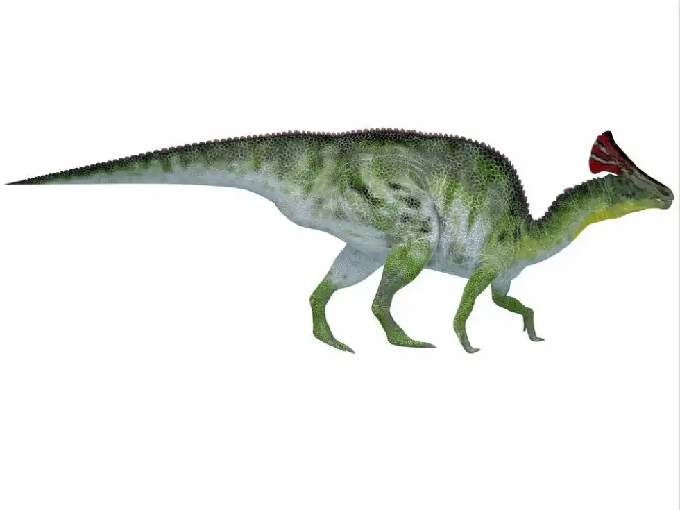 Discover interesting Olorotitan facts.