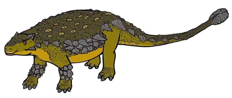 Discover interesting Palaeoscincus facts!