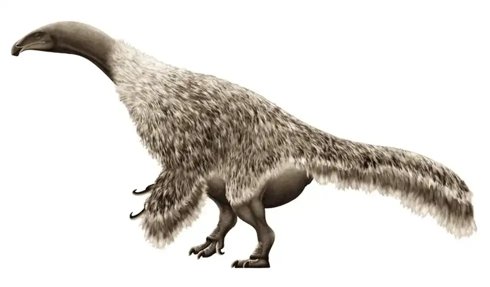 Discover interesting Paronychodon facts about these dinosaurs with interesting and unique teeth.
