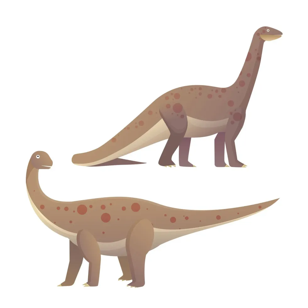 Discover interesting Rhoetosaurus facts about the earliest dinosaur from Australia.