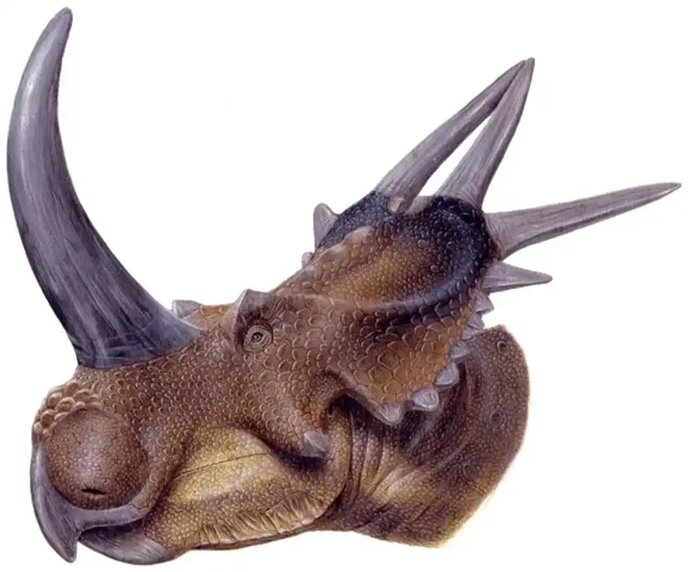 Discover interesting Stellasaurus facts including details about its fossil remains and evidence, holotype specimen, bone texture, partial skull, horns, parietal bar, anagenesis evolution, lineage, and how David Bowie is related to it.