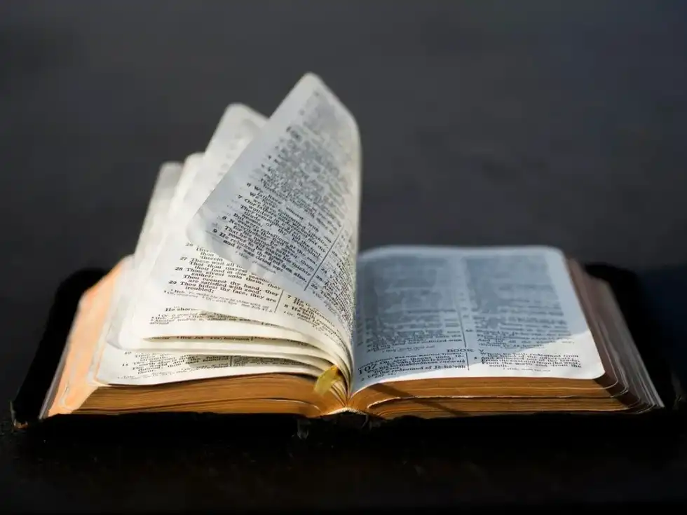 Discover lesser-known facts about Gideon in the bible!