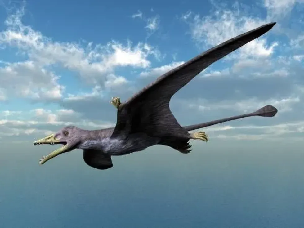 Discover more about this animal by reading these Eudimorphodon dinosaur facts.
