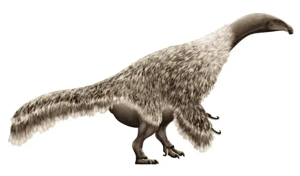 Discover more about this animal by reading these Nanshiungosaurus facts.