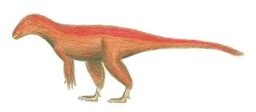 Discover more about this dinosaur by reading these Aviatyrannis facts.