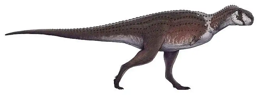 Discover more about this dinosaur by reading these Kryptops facts.