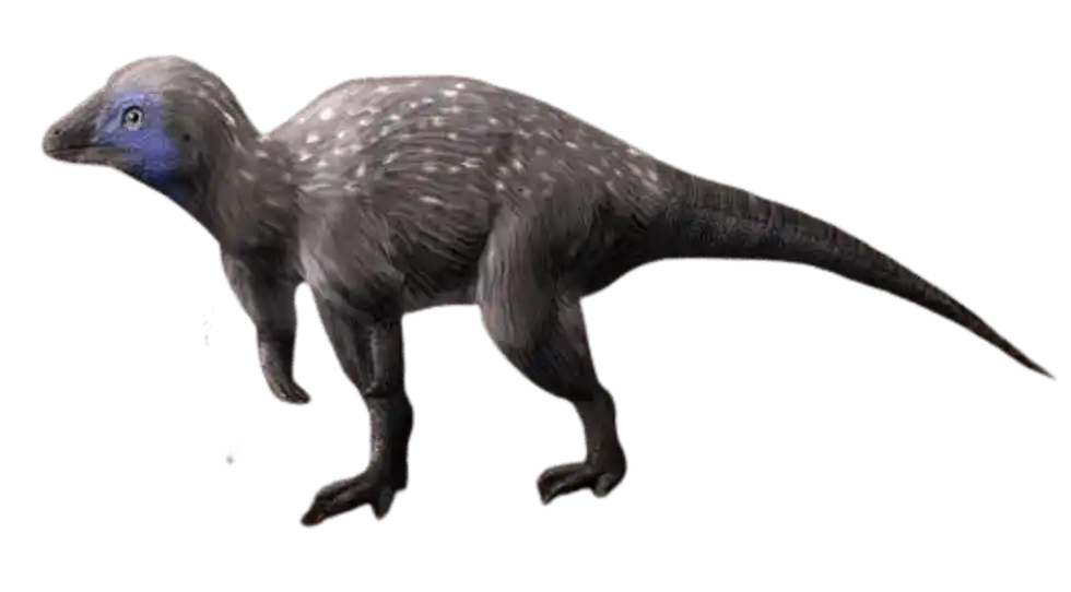 Discover surprising Kulindadromeus facts and learn everything you need to know about this tiny bird-like dinosaur from Siberia