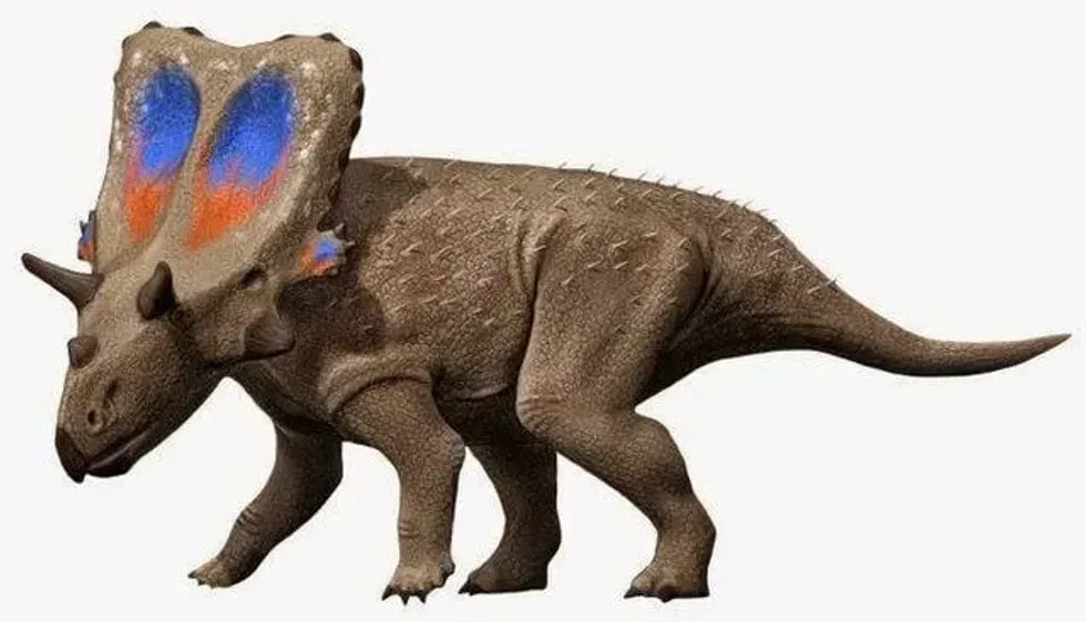 Discover the most enthralling 21 Mercuriceratops facts that will blow your mind.