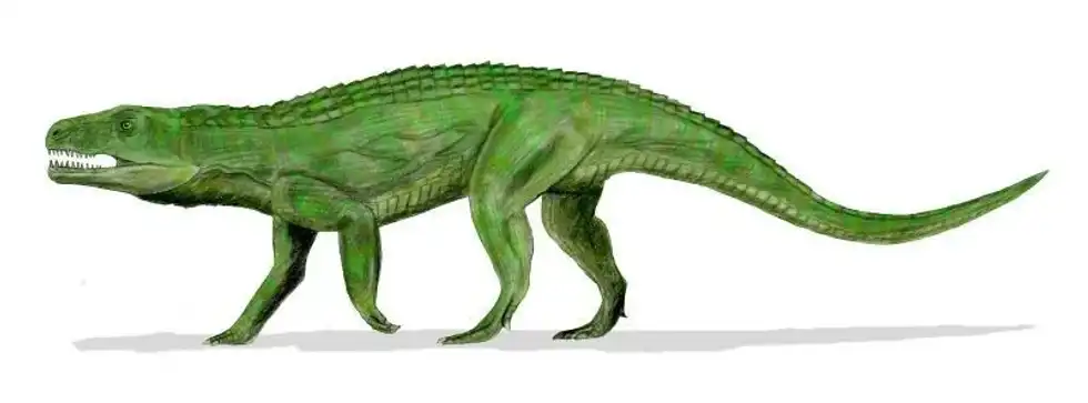 Discover the most exciting 17 Teratosaurus facts for your kids.