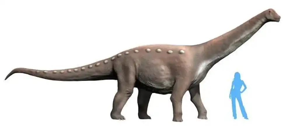 Discover the most thrilling Mansoursaurus facts that will blow your mind