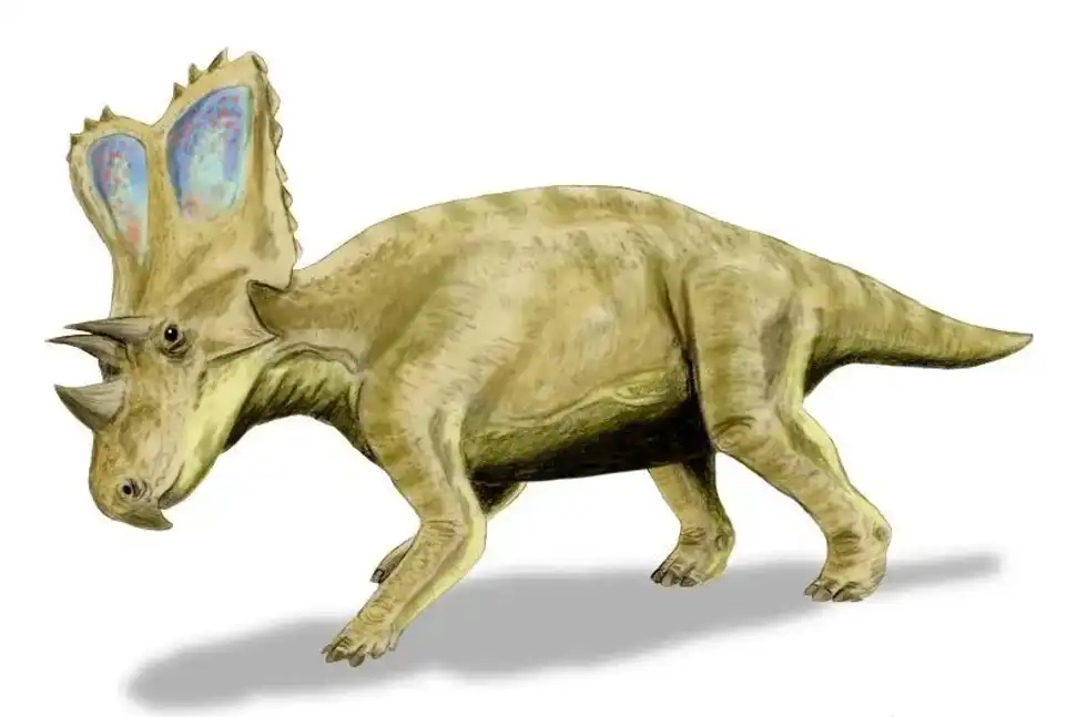 Discover these amazing Chasmosaurus facts!