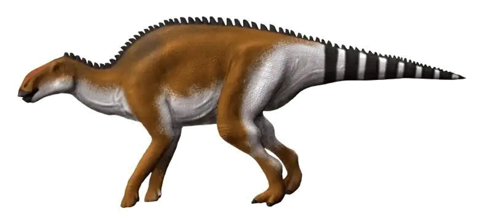 Discover this dinosaur by reading these Brachylophosaurus facts.