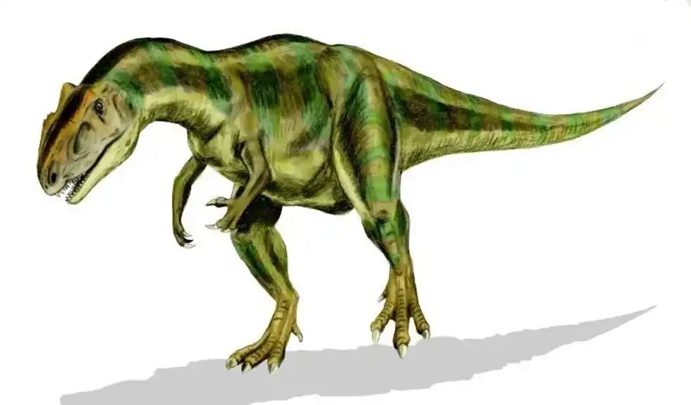 Discover thrilling Allosaurus facts about its fossil remains, large size, tail, jaws, teeth, and more!