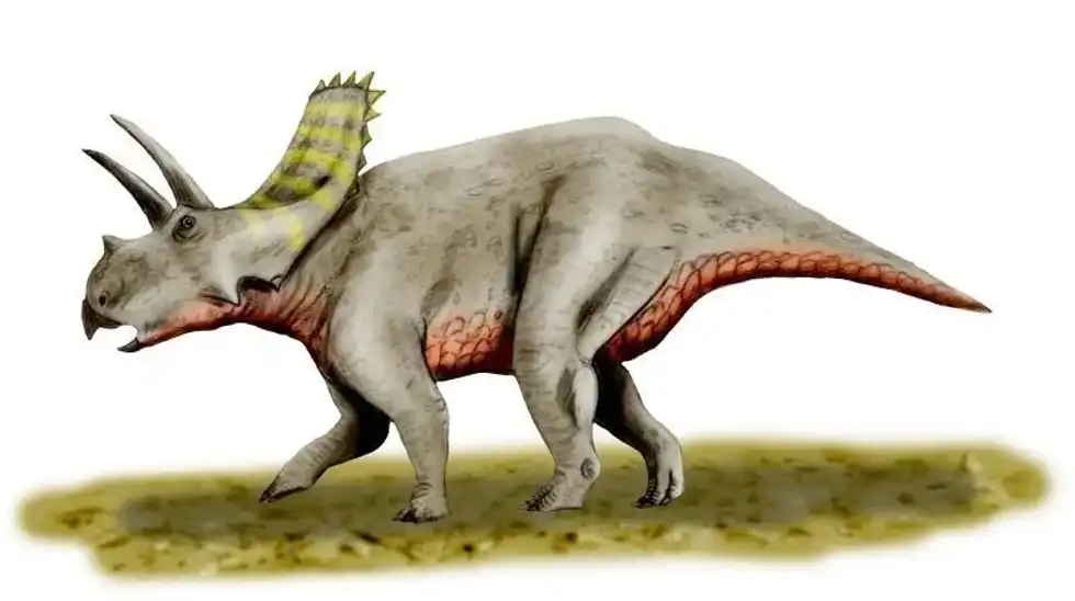 Discover thrilling Arrhinoceratops facts about its diet, skull, time period, and more!