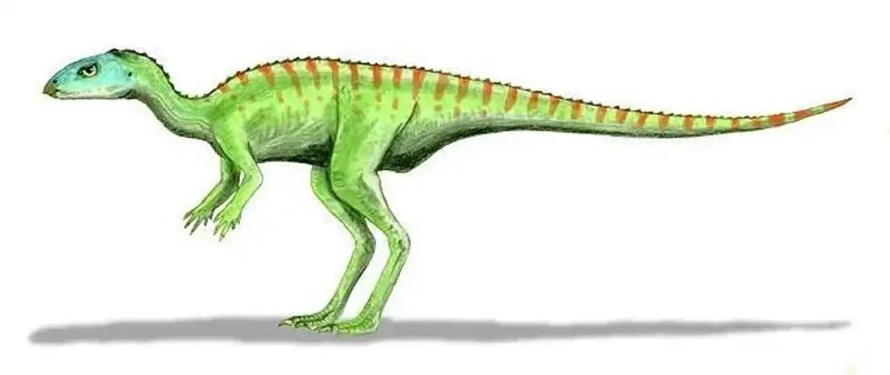 Discover thrilling Gasparinisaura facts about its type species, classification, diet, fossils, and more!