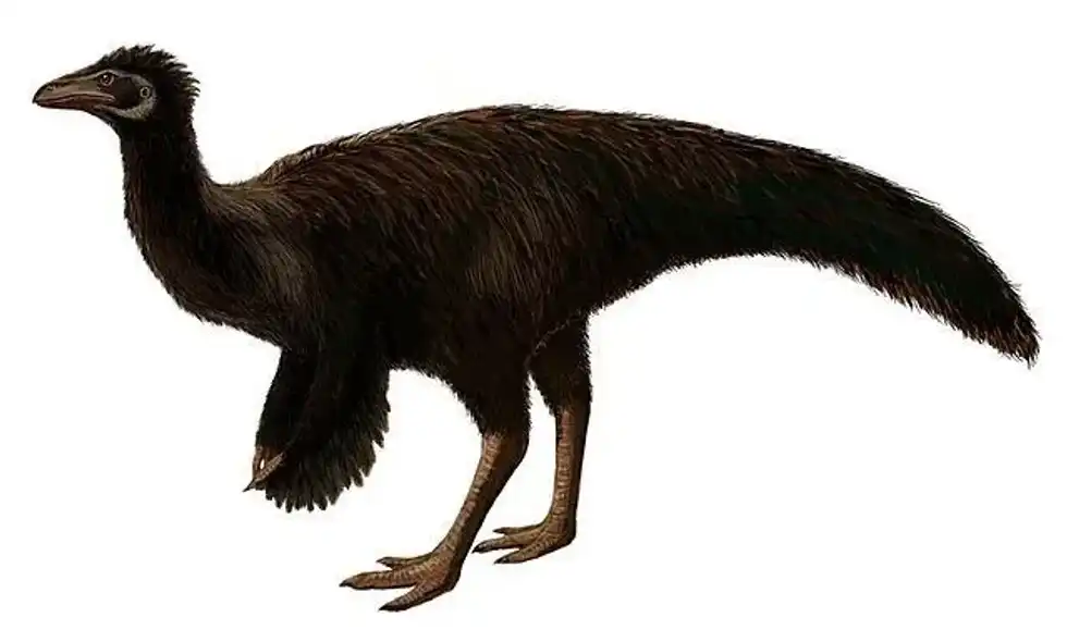 Discover thrilling Sinornithomimus facts about its fossil remains, physical description, species, and more!