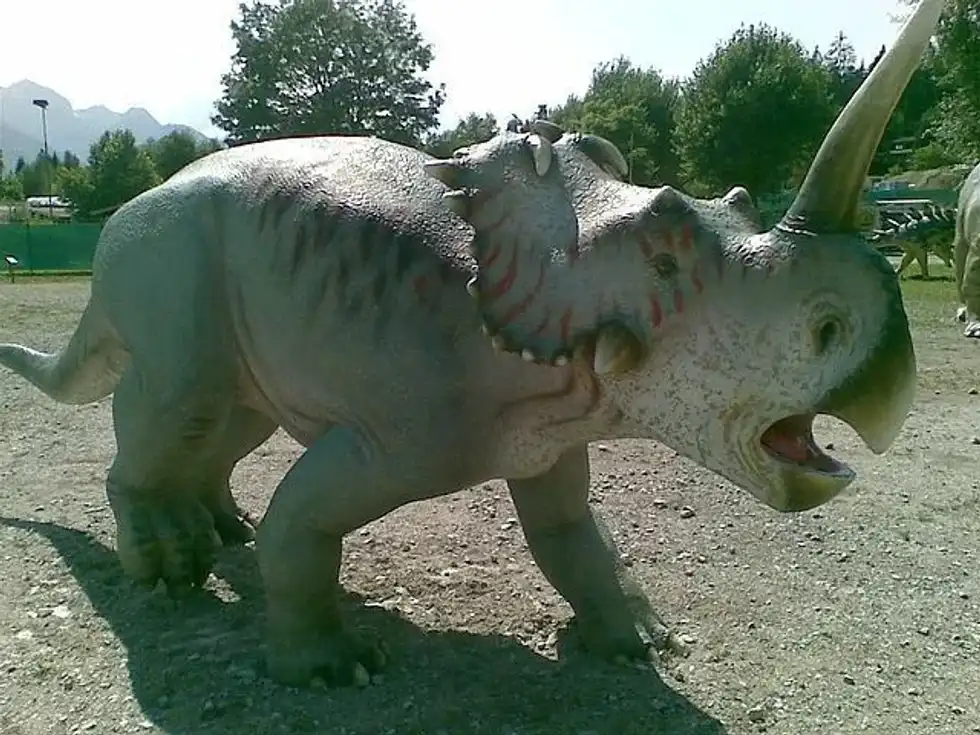 Discovere amazing Centrosaurus facts for kids!