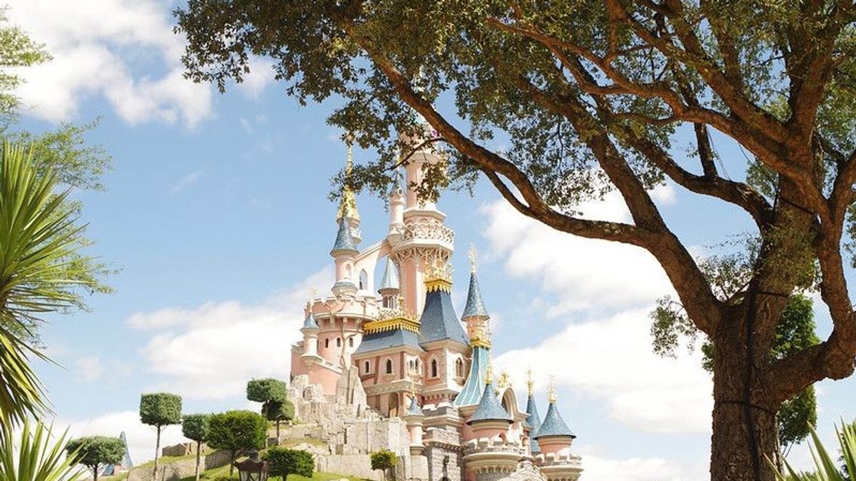 Disneyland big Palace