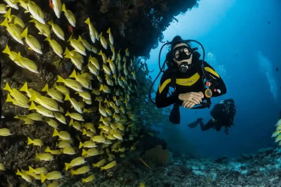 Diver quotes are inspirational.