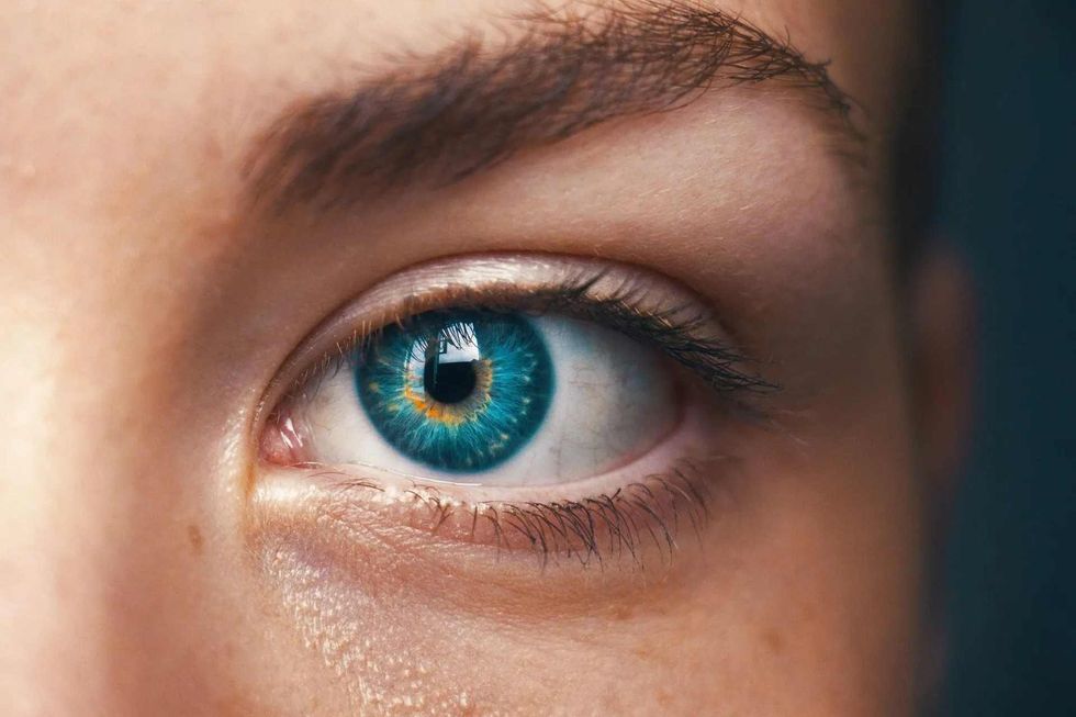 Do blue-eyed people really see better in the dark?