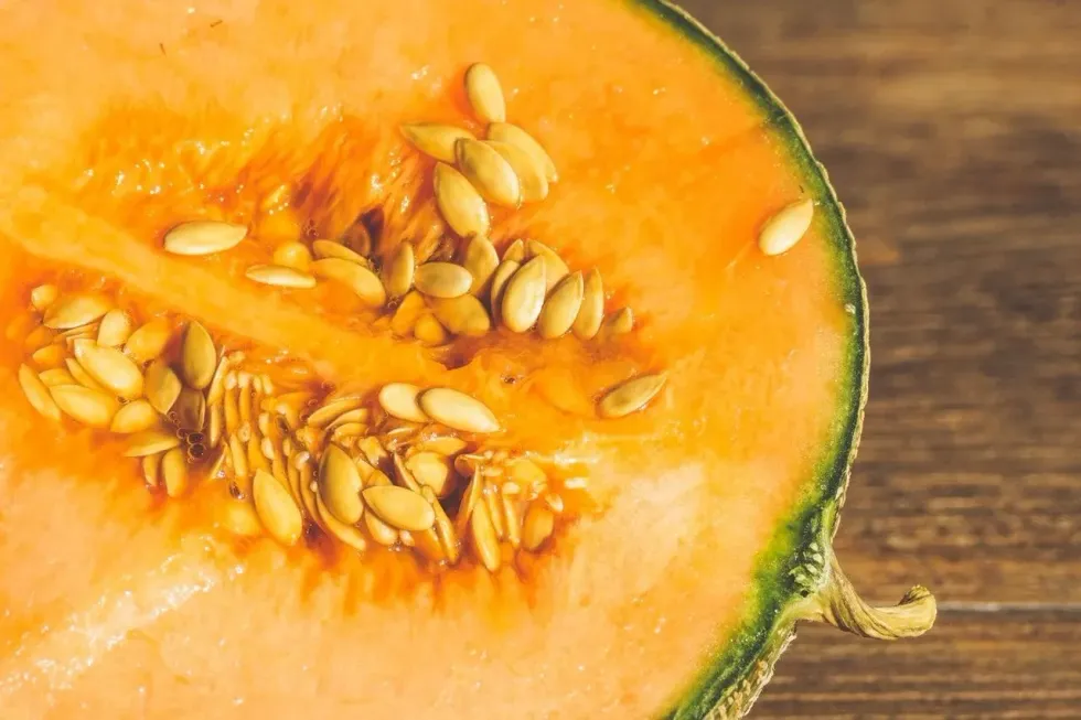 Do you know about cantaloupe nutrition facts?