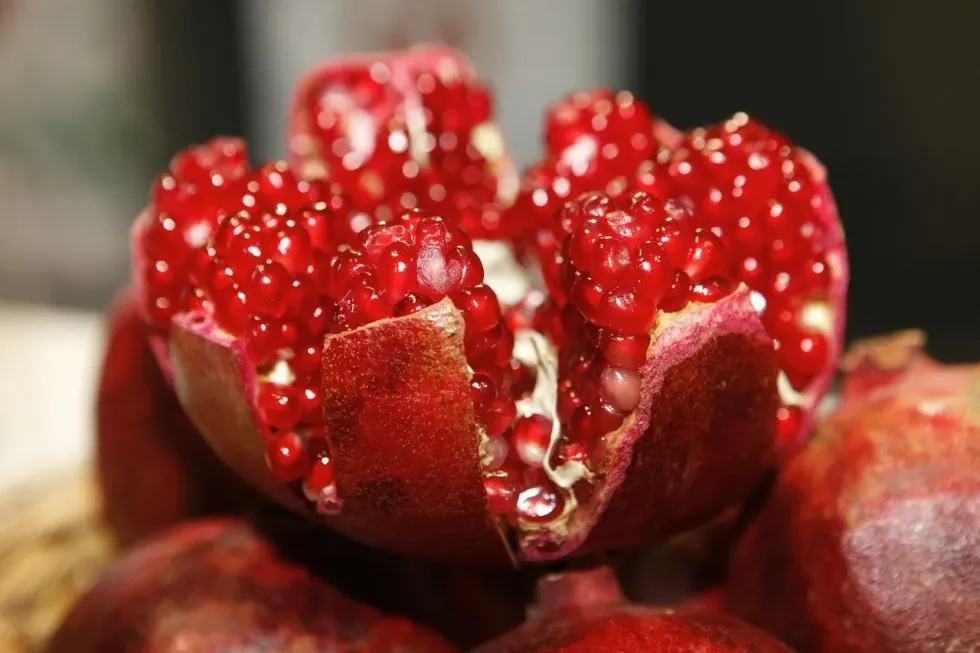 Do you know where do pomegranates grow?